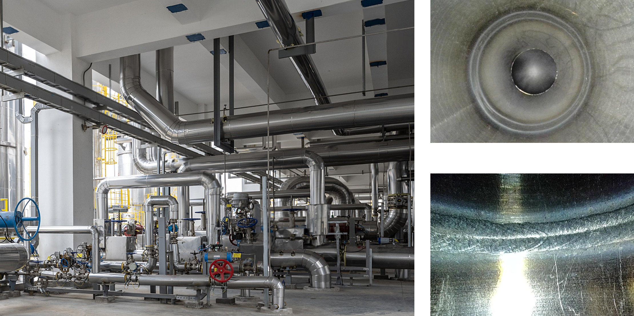 Endoscope XC Grande Longueur